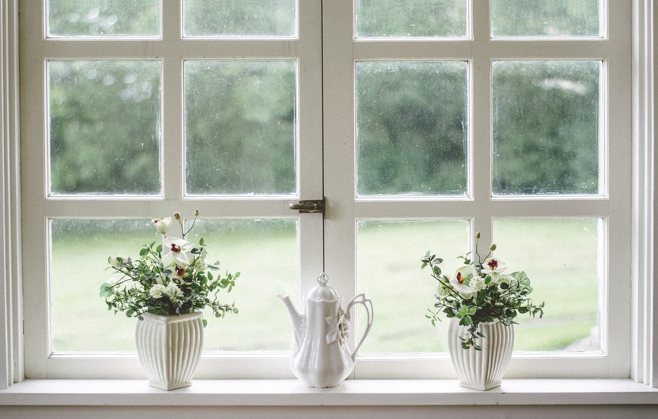 Two plants on a windowsill.
