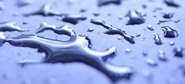 Water droplets on a surface.