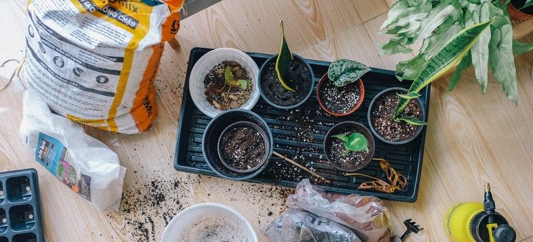 Gardening tools.