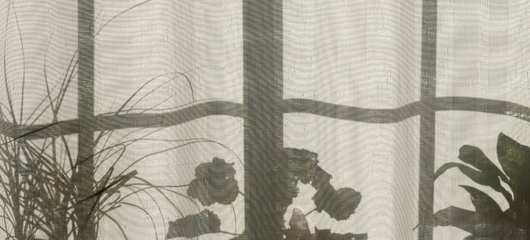 Window frame shadow on a light curtain.