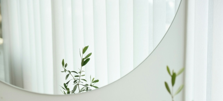A mirror reflecting a plant