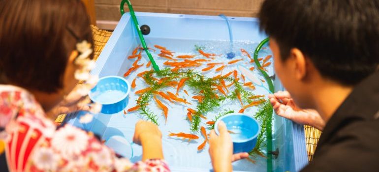 people preparing an aquarium for packing
