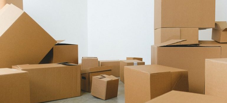 Cardboard boxes