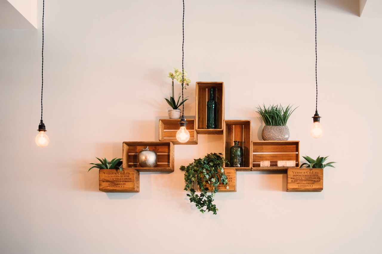shelves on a wall filled with plants