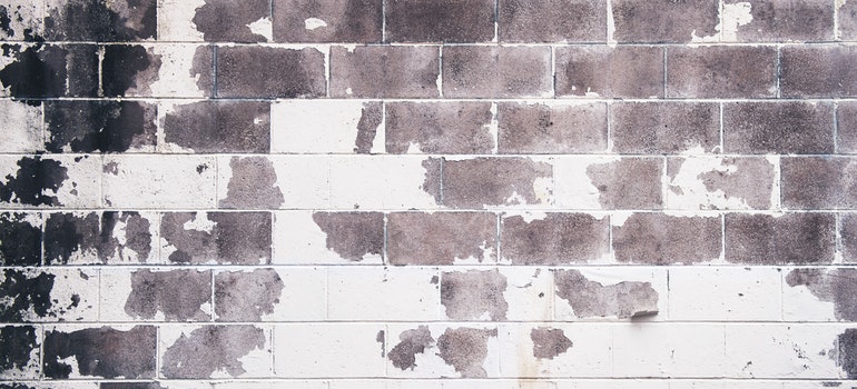 Neglected brick wall