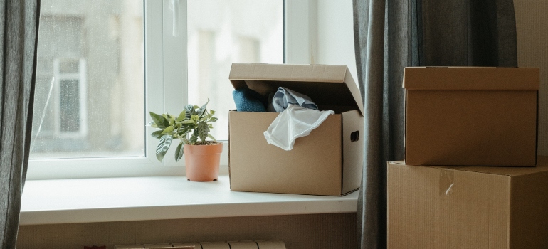 clothes in the box
