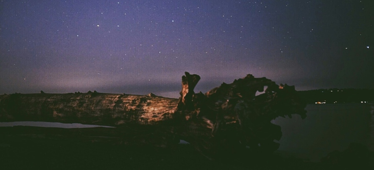 Rock formation under night sky in 3006 15th St, Everett, WA