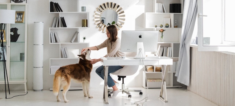 A Woman Petting her Dog after she set up a productive home office
